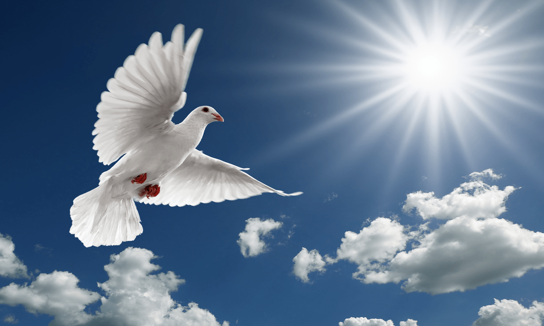 The Holy Spirit – Mission Springs Church of God